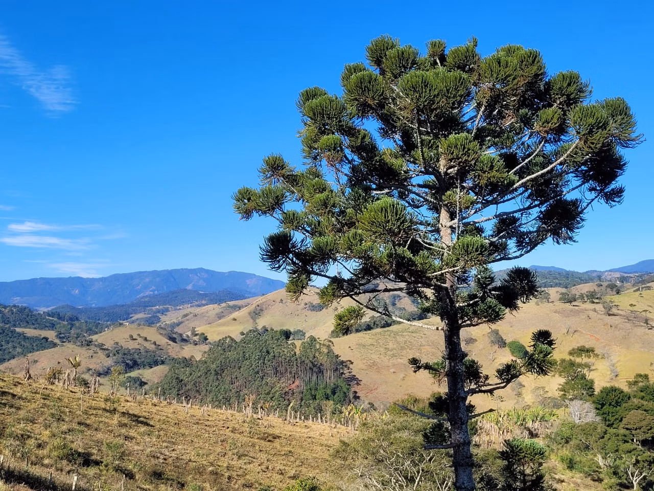 Terreno de 2 ha em Santo Antônio do Pinhal, SP