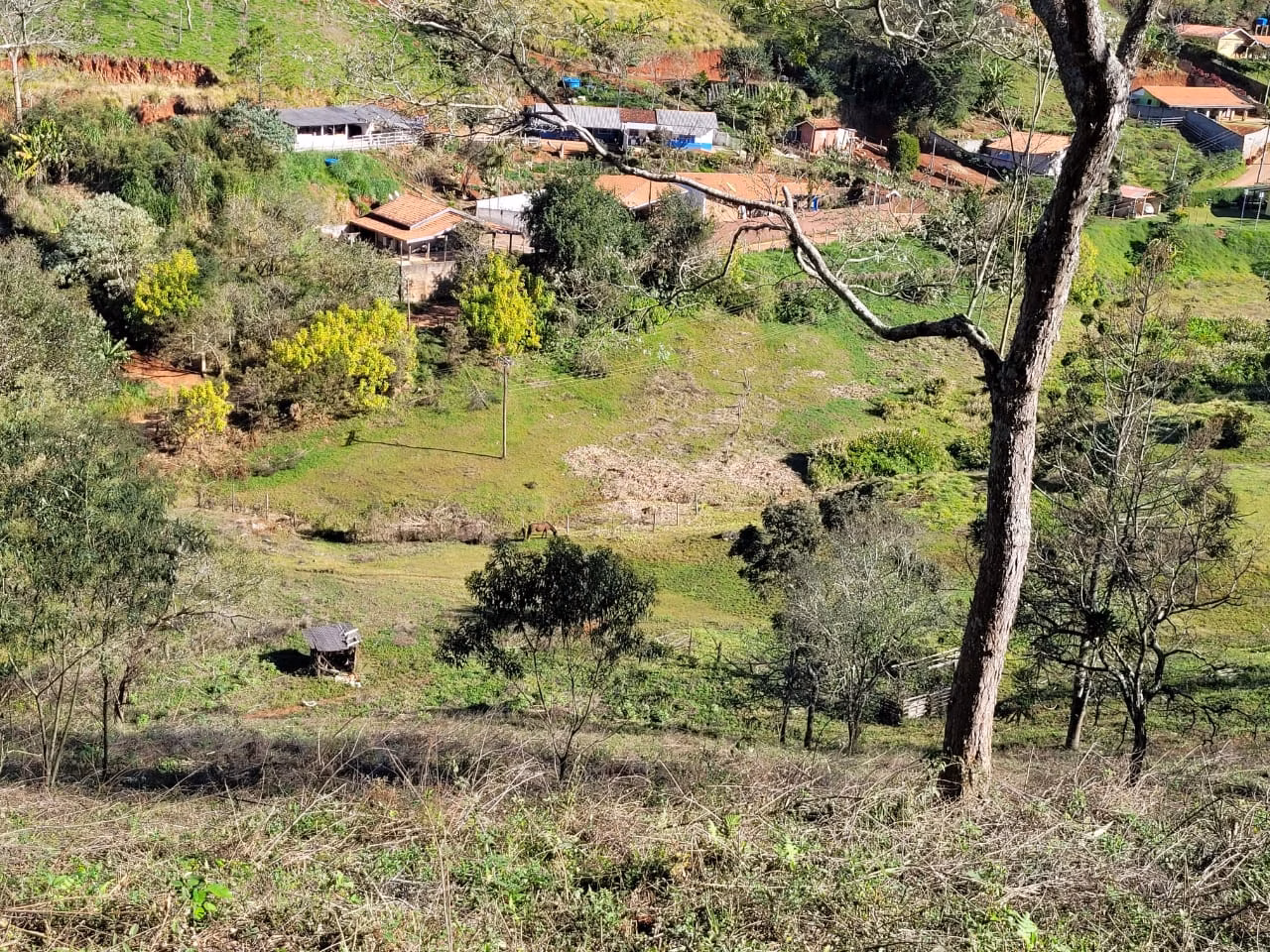 Terreno de 2 ha em Santo Antônio do Pinhal, SP