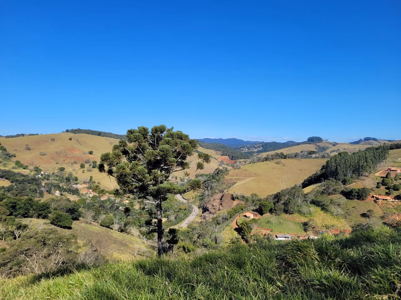 Terreno de 2 ha em Santo Antônio do Pinhal, SP
