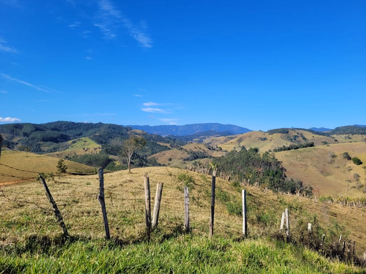 Terreno de 2 ha em Santo Antônio do Pinhal, SP