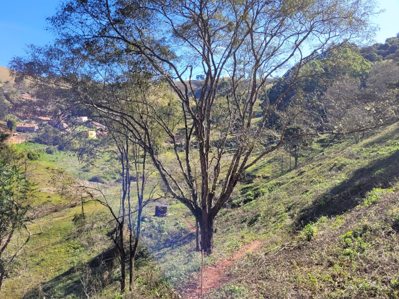 Terreno de 2 ha em Santo Antônio do Pinhal, SP