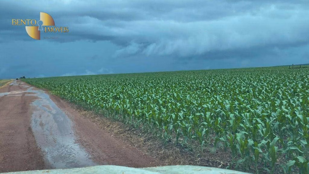 Fazenda de 33.000 ha em Porto Alegre do Norte, MT