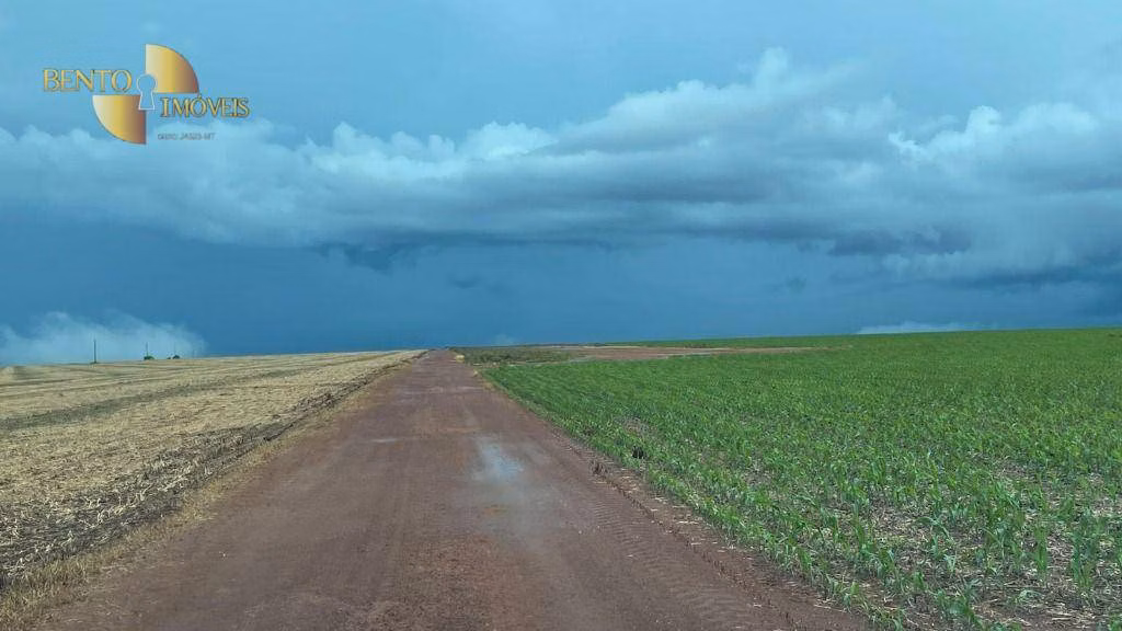 Fazenda de 33.000 ha em Porto Alegre do Norte, MT