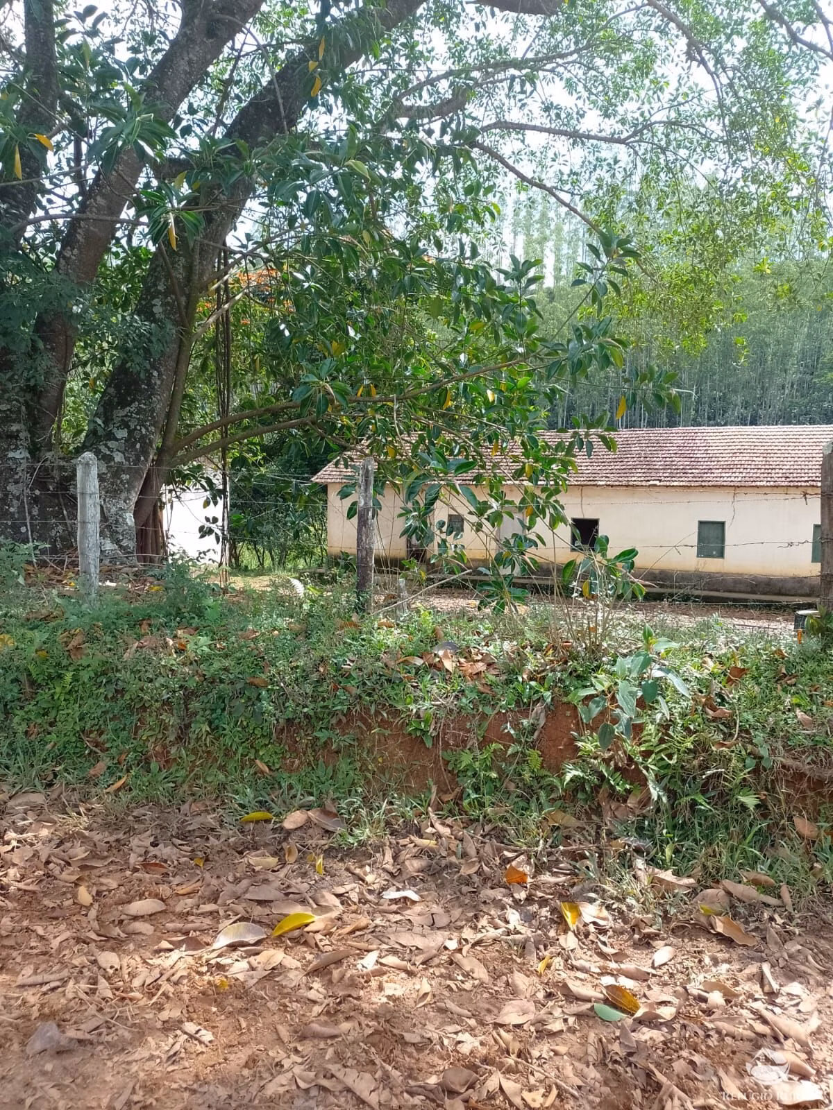 Fazenda de 331 ha em Igaratá, SP