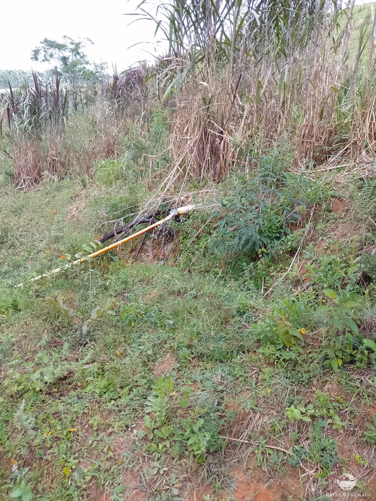 Fazenda de 331 ha em Igaratá, SP