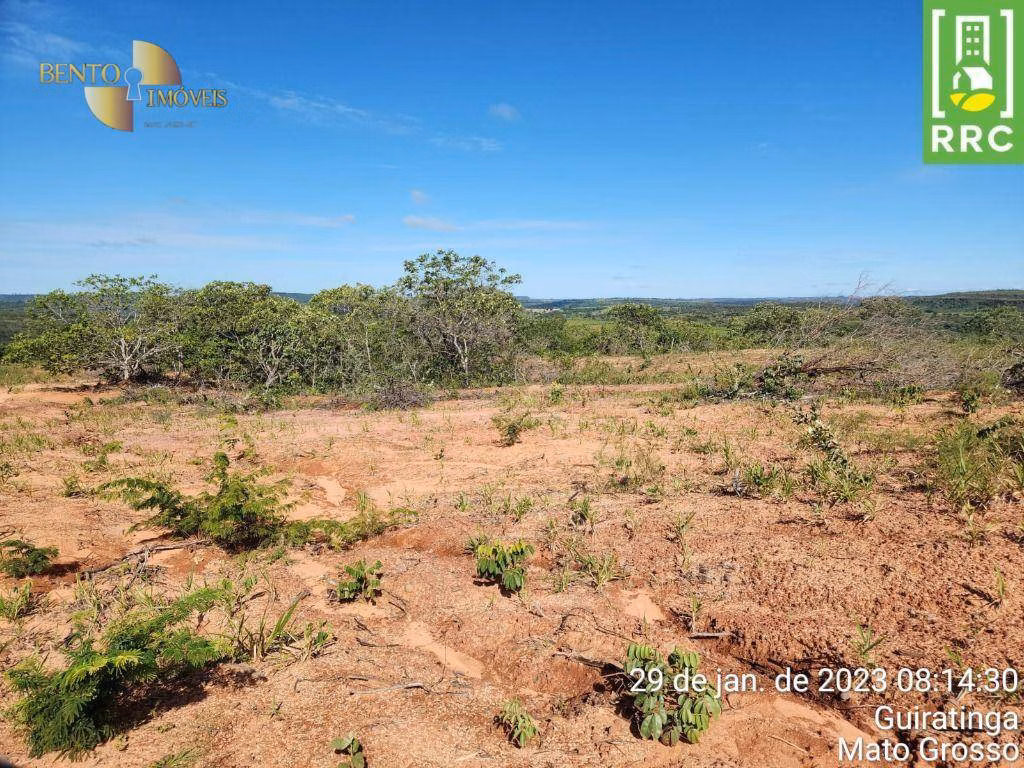 Fazenda de 1.162 ha em Alto Garças, MT