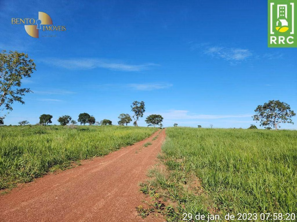 Fazenda de 1.162 ha em Alto Garças, MT