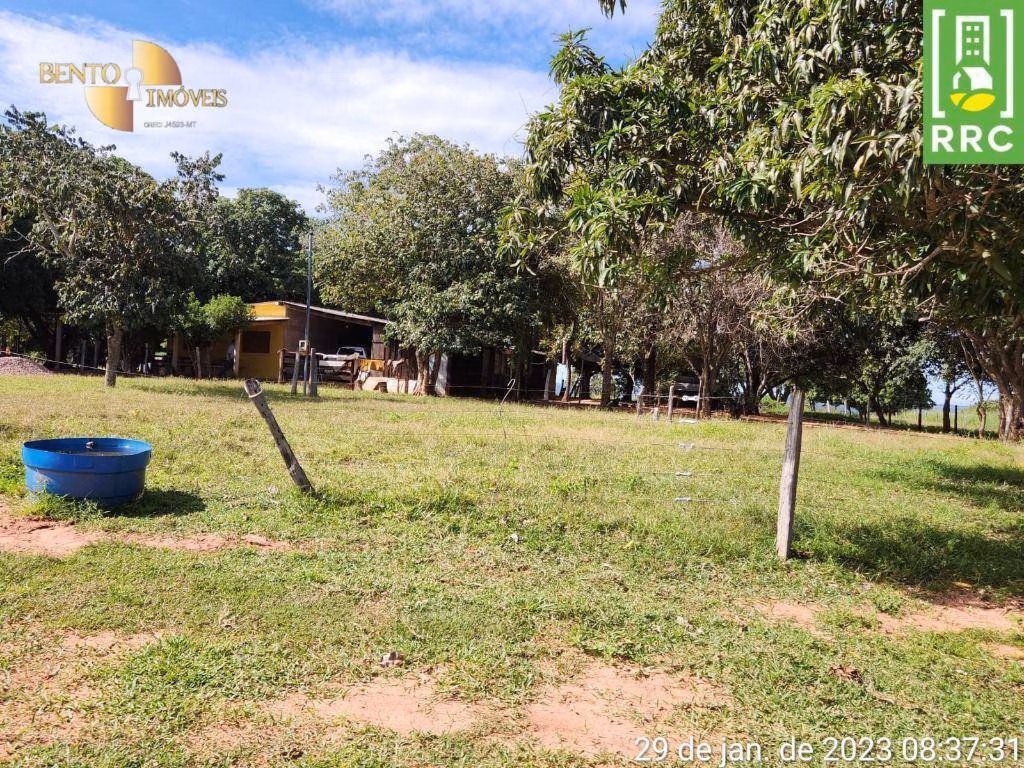 Fazenda de 1.162 ha em Alto Garças, MT