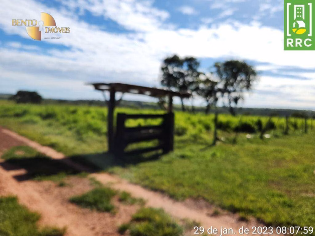 Fazenda de 1.162 ha em Alto Garças, MT