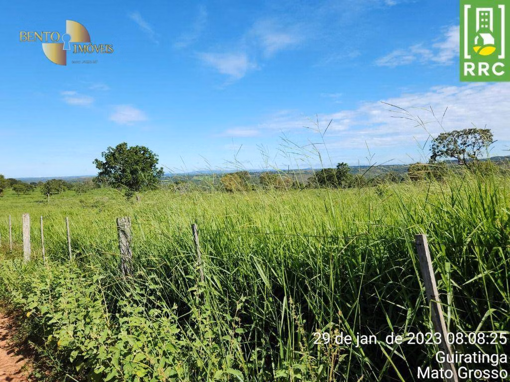 Fazenda de 1.162 ha em Alto Garças, MT