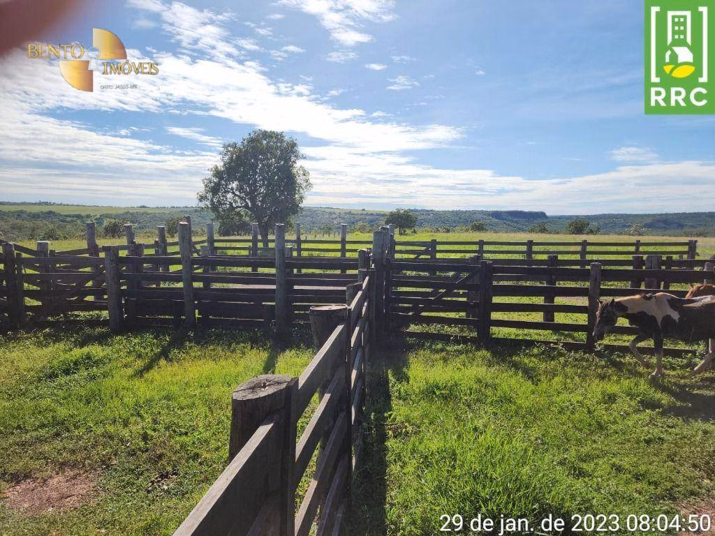 Fazenda de 1.162 ha em Alto Garças, MT