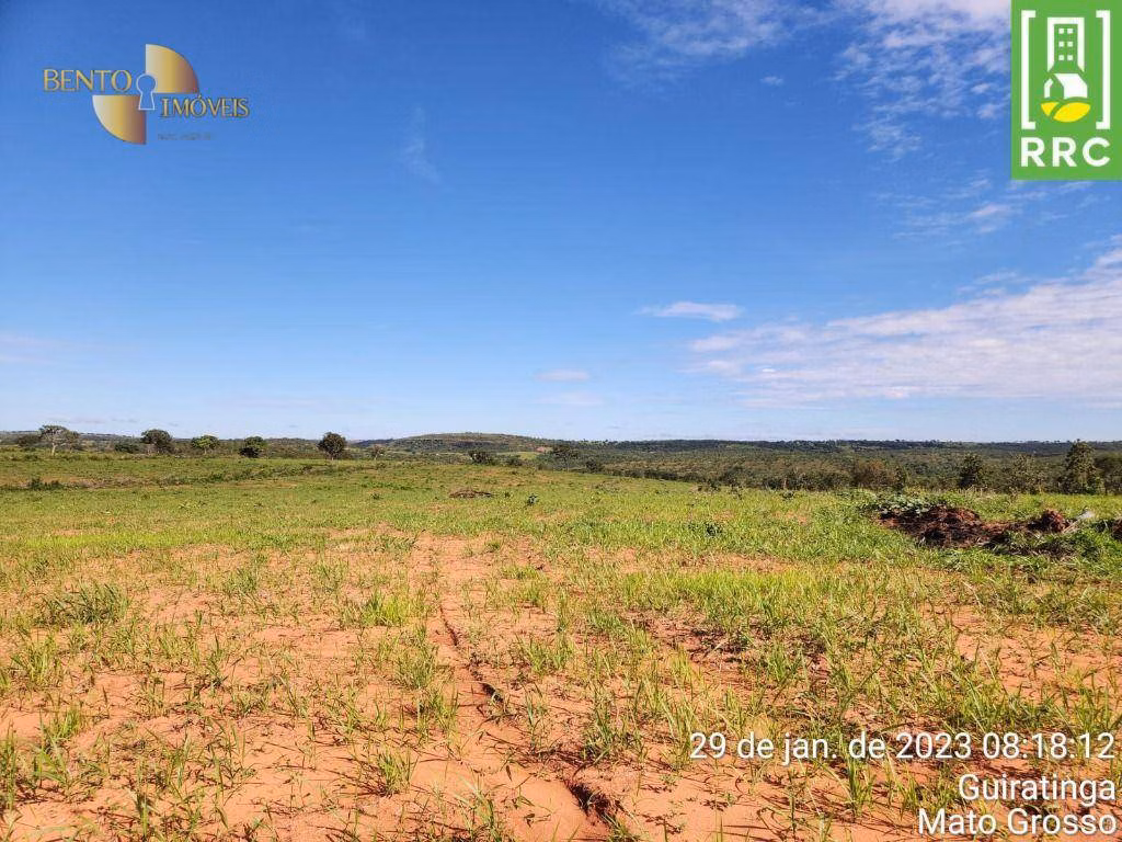 Fazenda de 1.162 ha em Alto Garças, MT