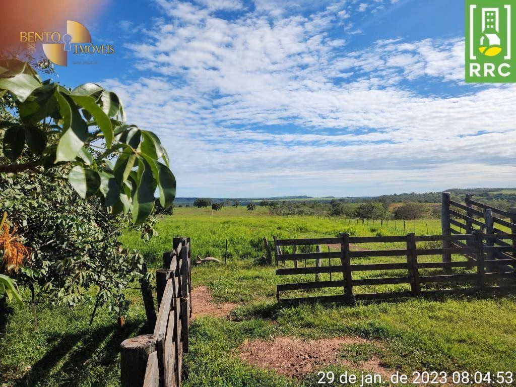 Fazenda de 1.162 ha em Alto Garças, MT