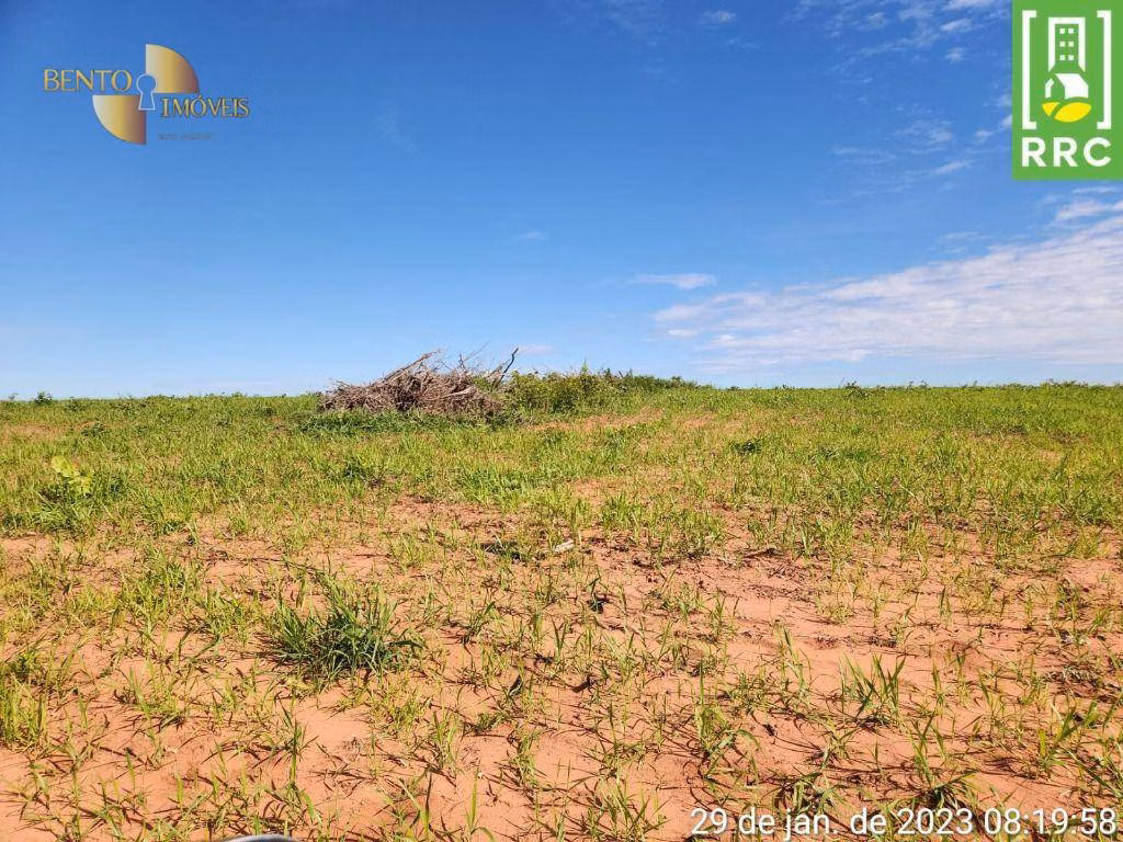 Fazenda de 1.162 ha em Alto Garças, MT