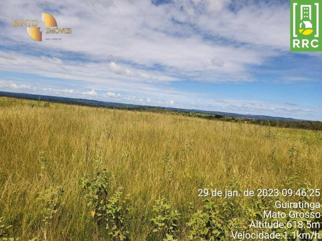 Fazenda de 1.162 ha em Alto Garças, MT