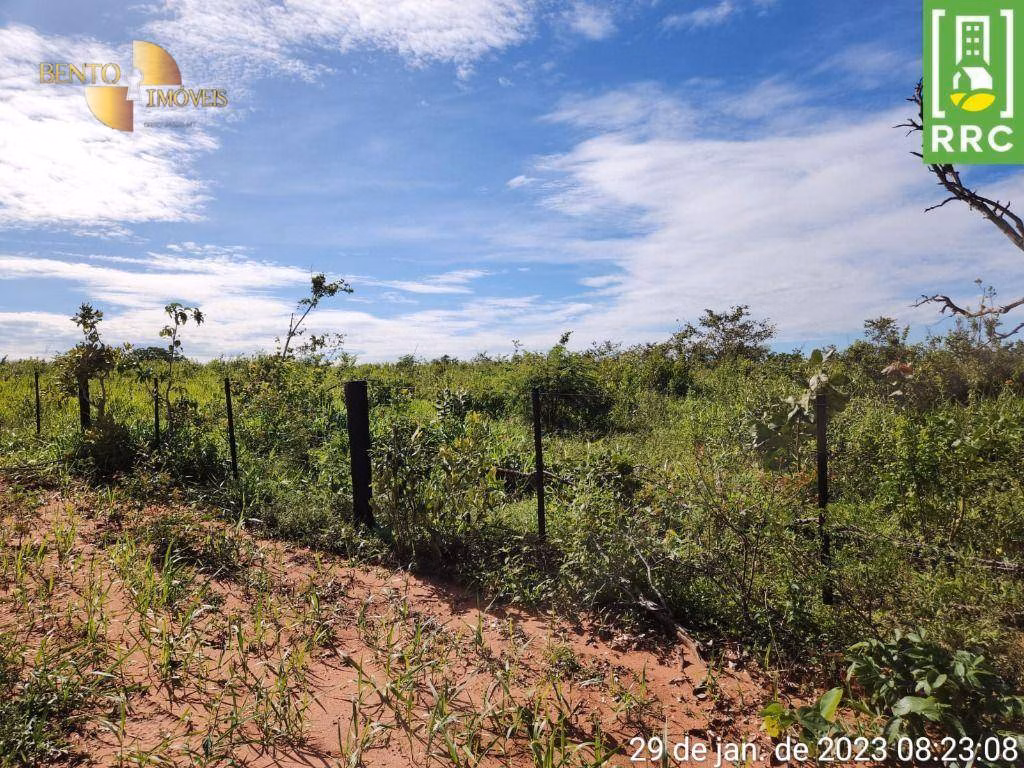 Fazenda de 1.162 ha em Alto Garças, MT