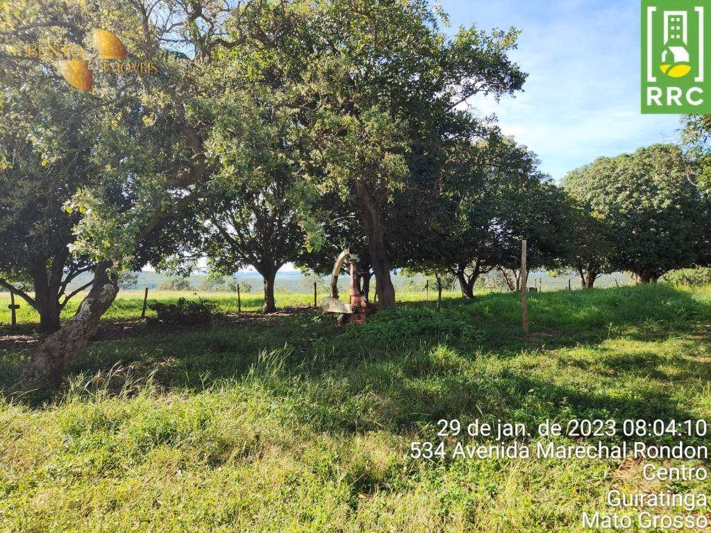 Fazenda de 1.162 ha em Alto Garças, MT