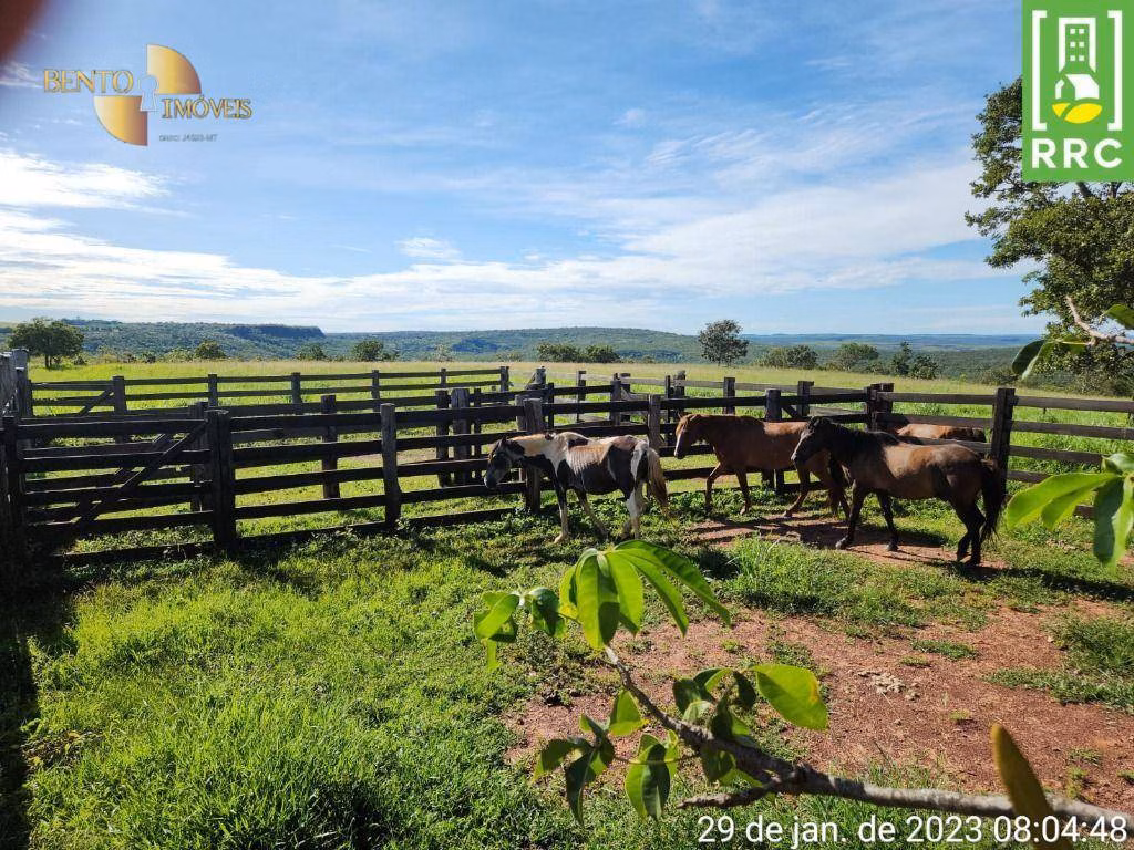 Fazenda de 1.162 ha em Alto Garças, MT