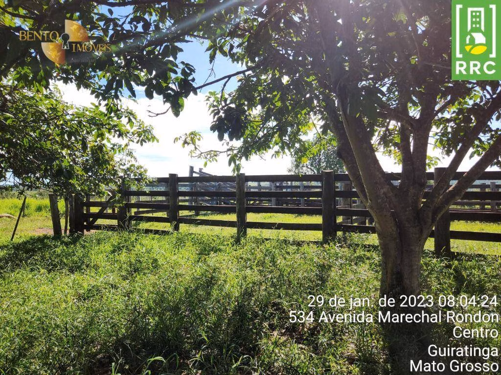 Fazenda de 1.162 ha em Alto Garças, MT