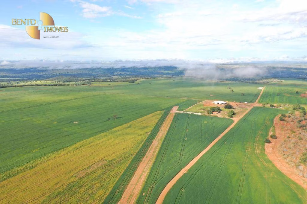 Farm of 10,764 acres in General Carneiro, MT, Brazil