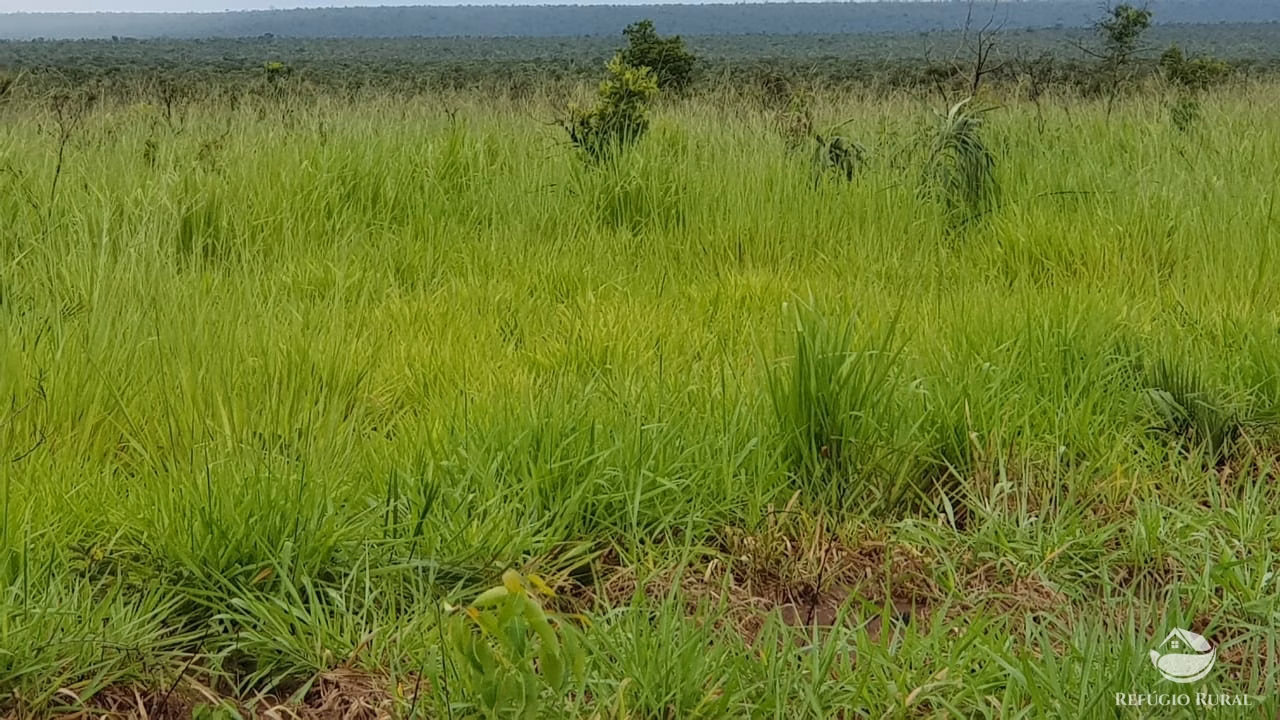 Fazenda de 3.260 ha em Conquista D'Oeste, MT