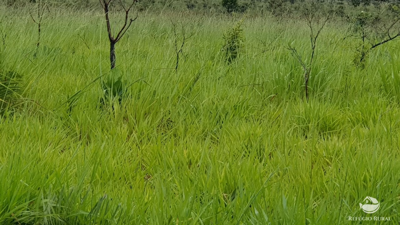 Fazenda de 3.260 ha em Conquista D'Oeste, MT