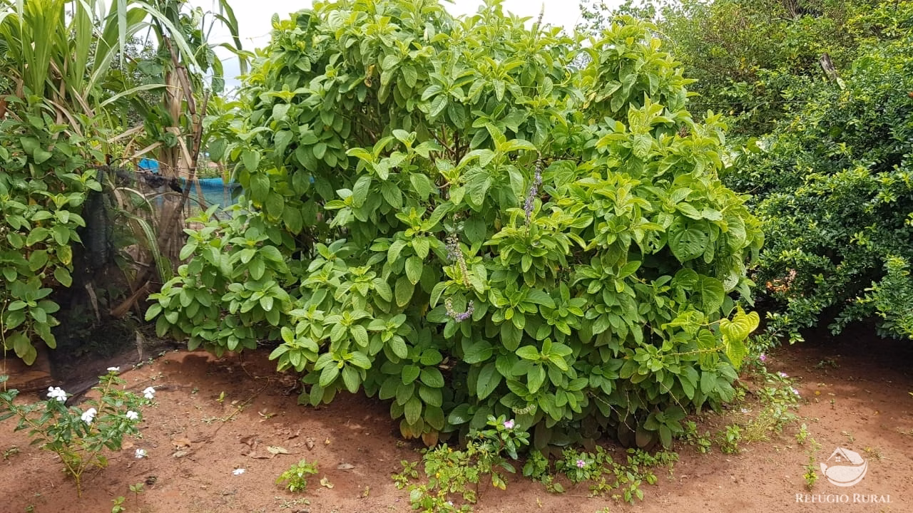 Fazenda de 3.260 ha em Conquista D'Oeste, MT