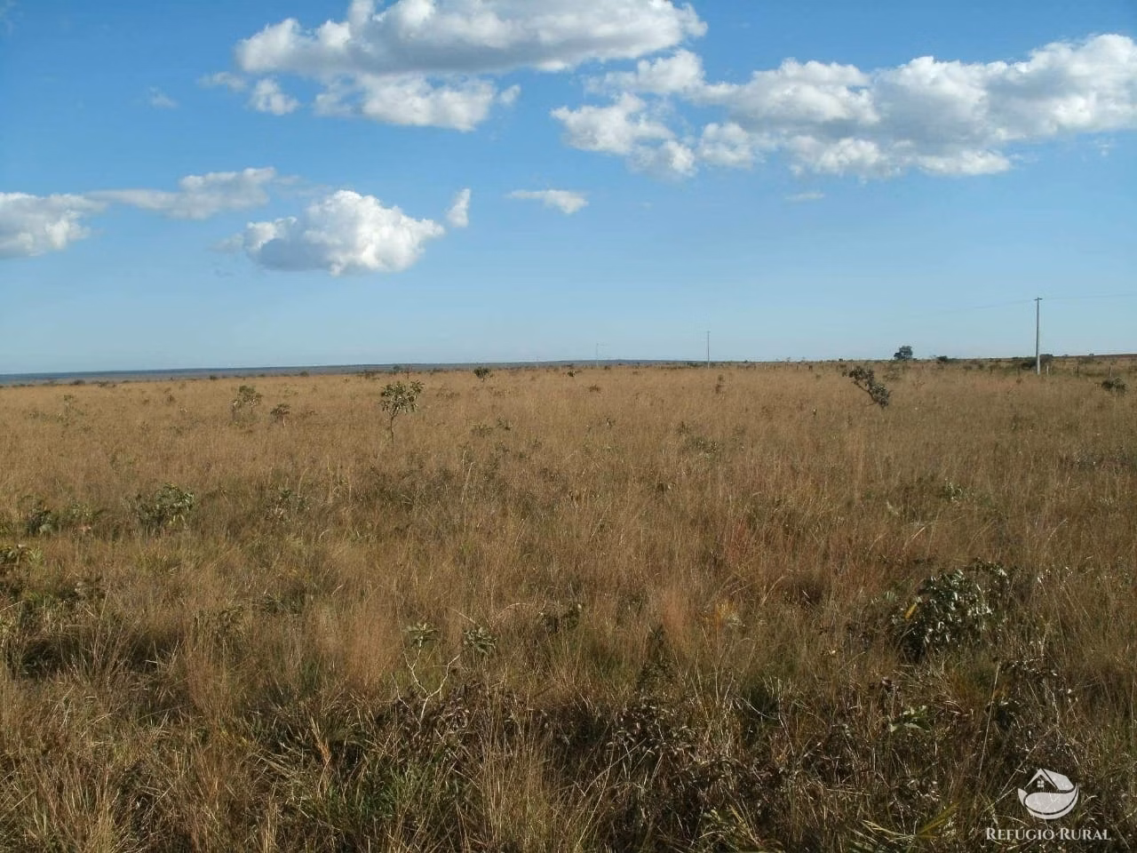 Fazenda de 3.260 ha em Conquista D'Oeste, MT