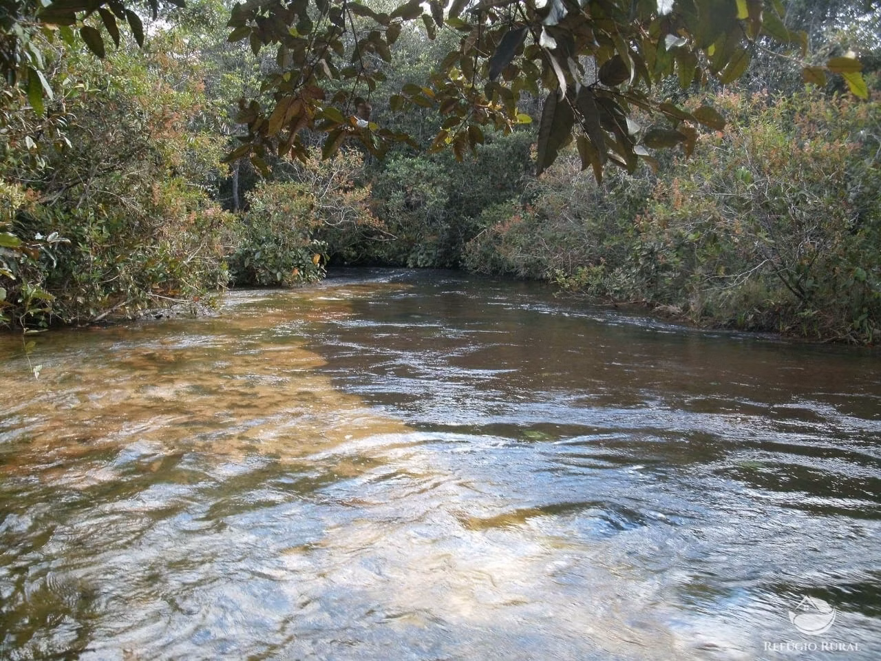 Fazenda de 3.260 ha em Conquista D'Oeste, MT
