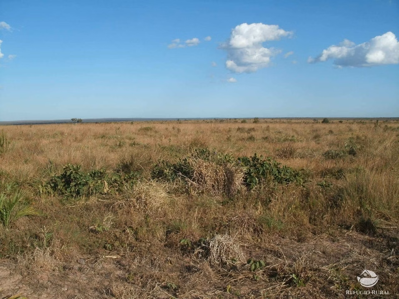 Fazenda de 3.260 ha em Conquista D'Oeste, MT
