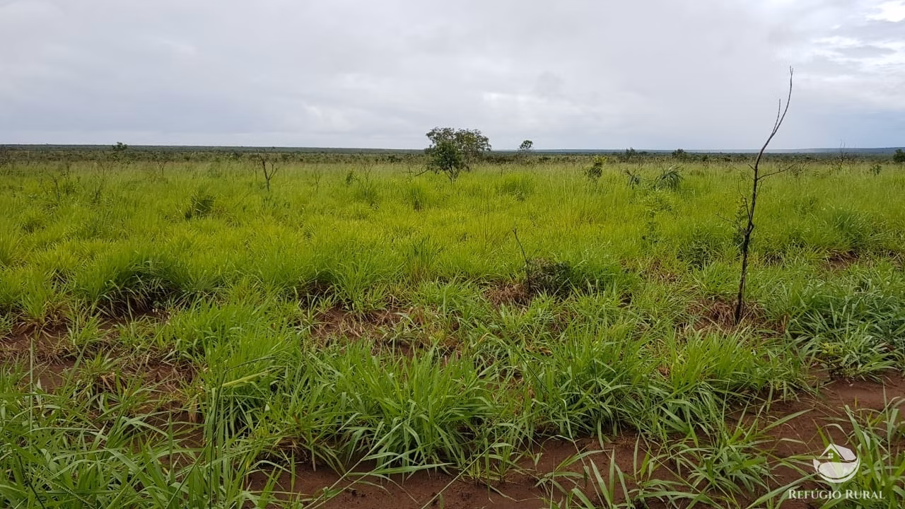 Fazenda de 3.260 ha em Conquista D'Oeste, MT