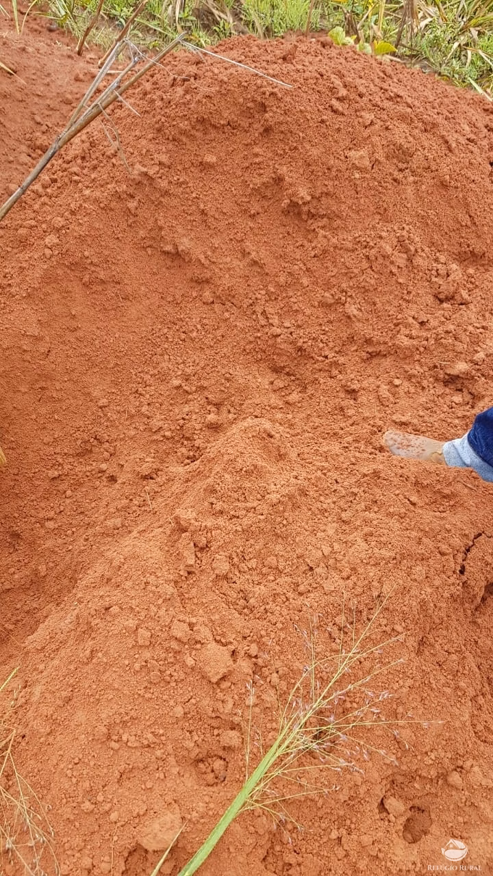 Fazenda de 3.260 ha em Conquista D'Oeste, MT