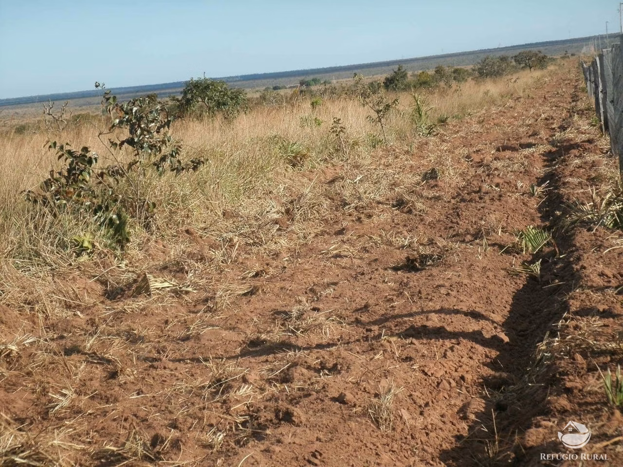 Fazenda de 3.260 ha em Conquista D'Oeste, MT