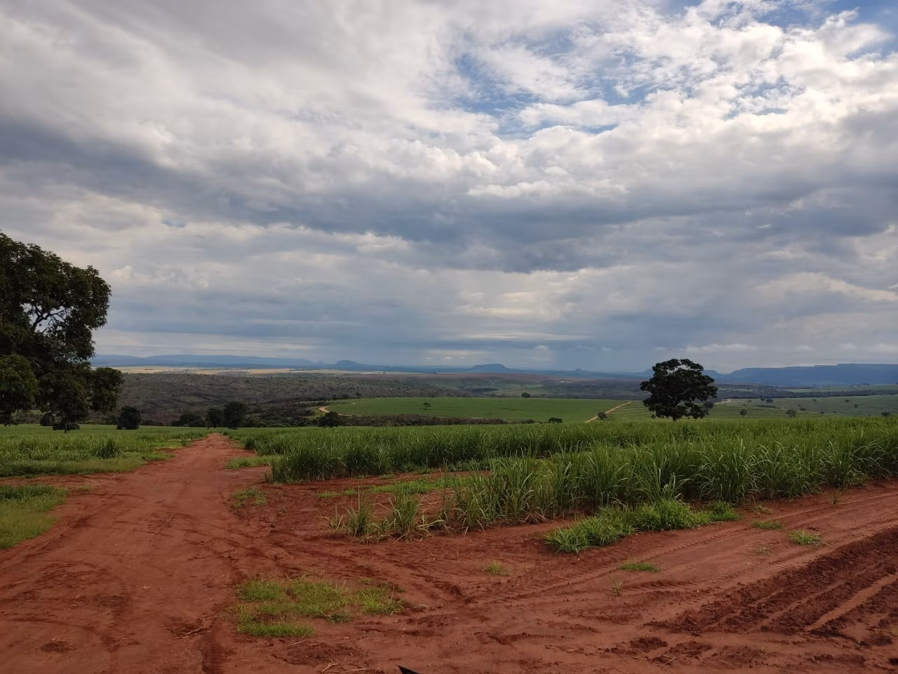 Fazenda de 733 ha em Altinópolis, SP