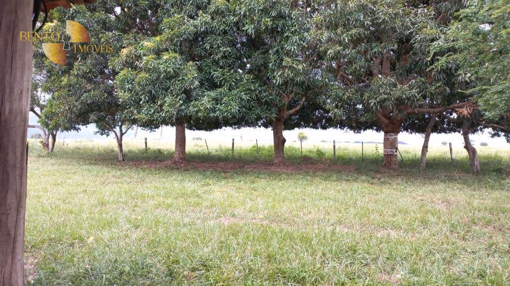 Fazenda de 514 ha em Cuiabá, MT