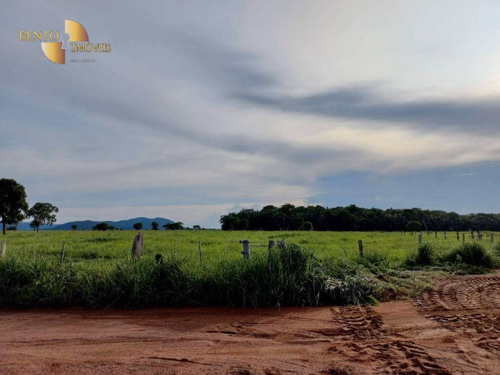 Fazenda de 514 ha em Cuiabá, MT
