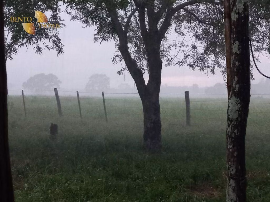 Fazenda de 514 ha em Cuiabá, MT