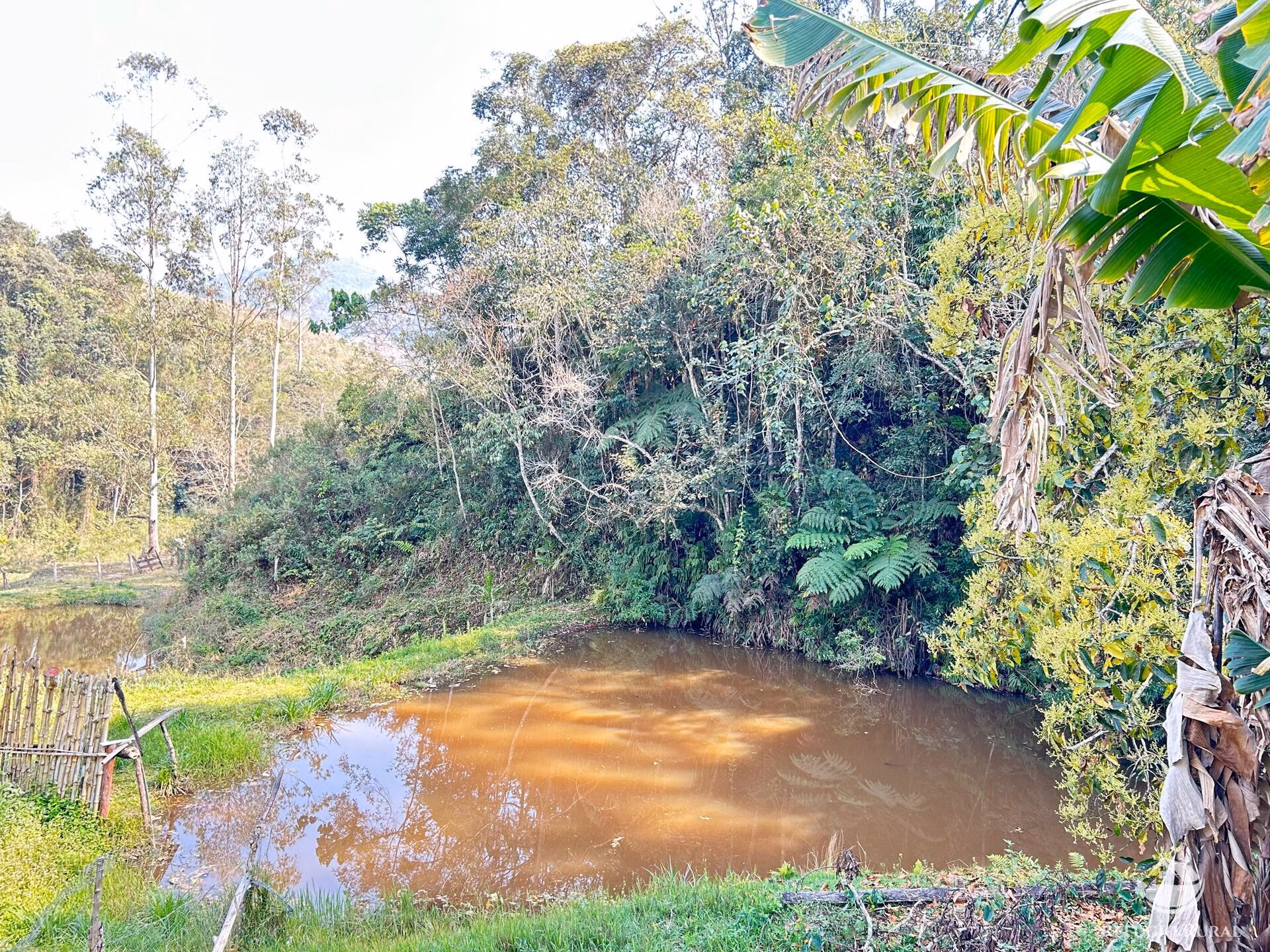 Sítio de 9 ha em Igaratá, SP