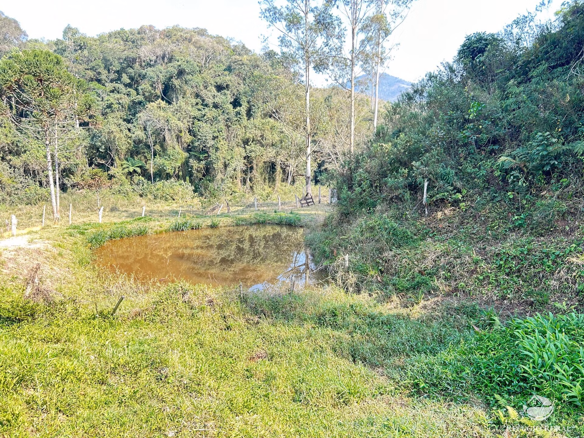 Sítio de 9 ha em Igaratá, SP