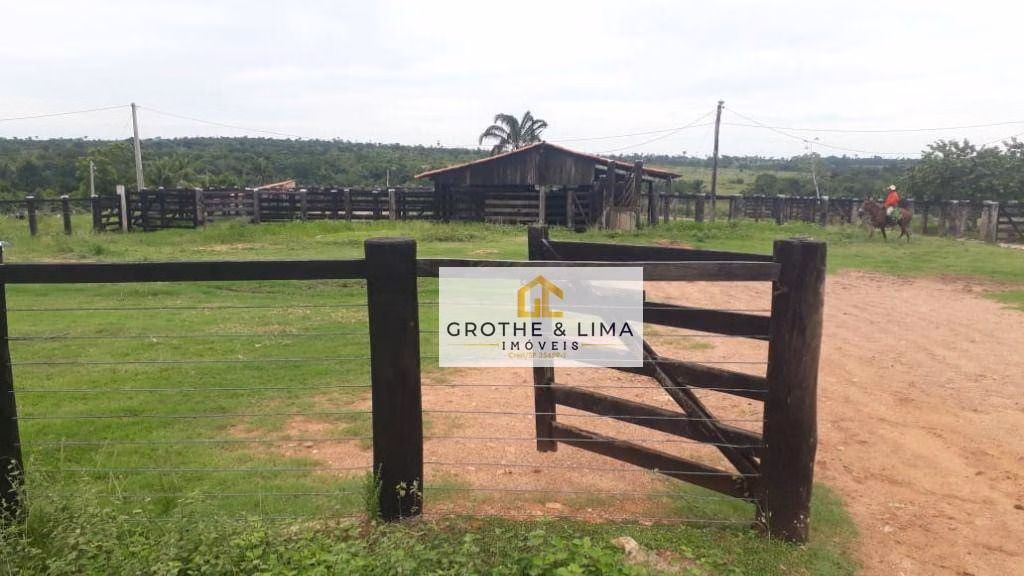Fazenda de 1.222 ha em Araguaína, TO
