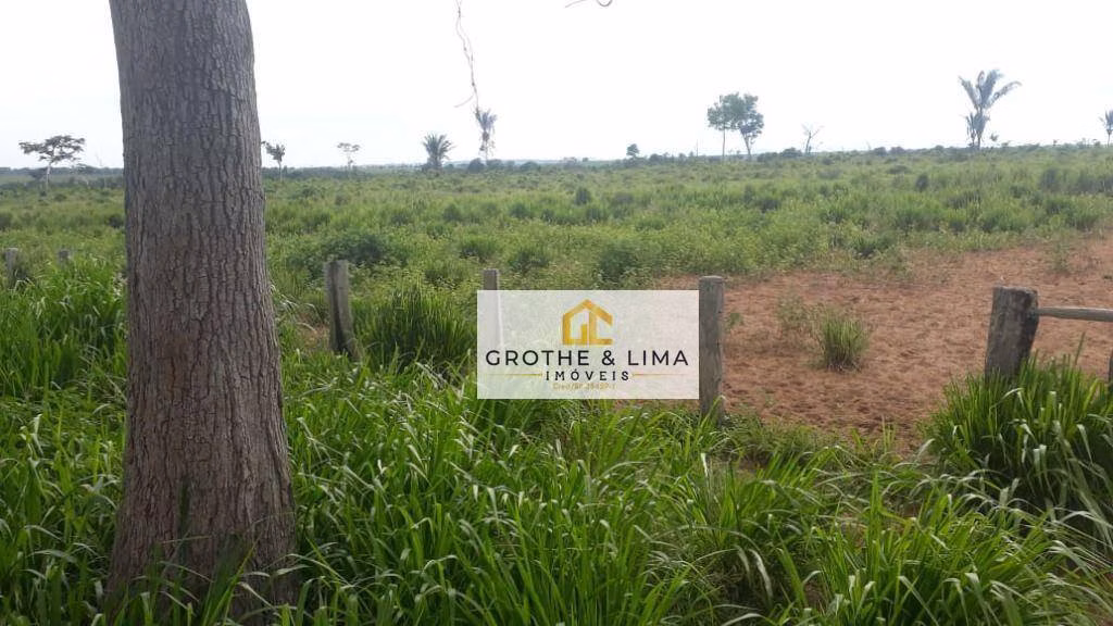 Fazenda de 1.222 ha em Araguaína, TO