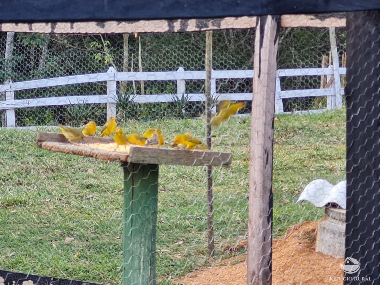 Sítio de 5 ha em Monteiro Lobato, SP