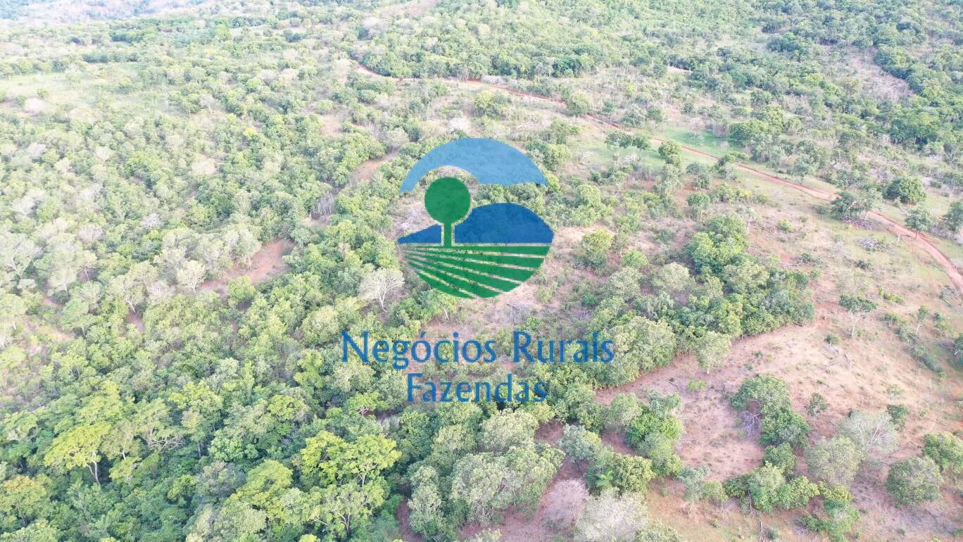 Fazenda de 145 ha em Formoso, GO
