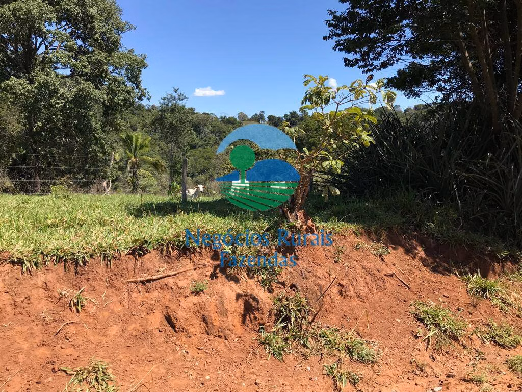 Fazenda de 145 ha em Formoso, GO