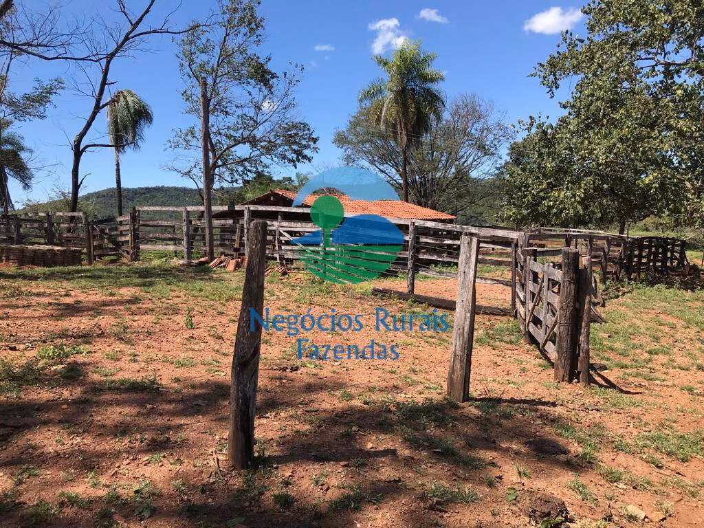 Fazenda de 145 ha em Formoso, GO
