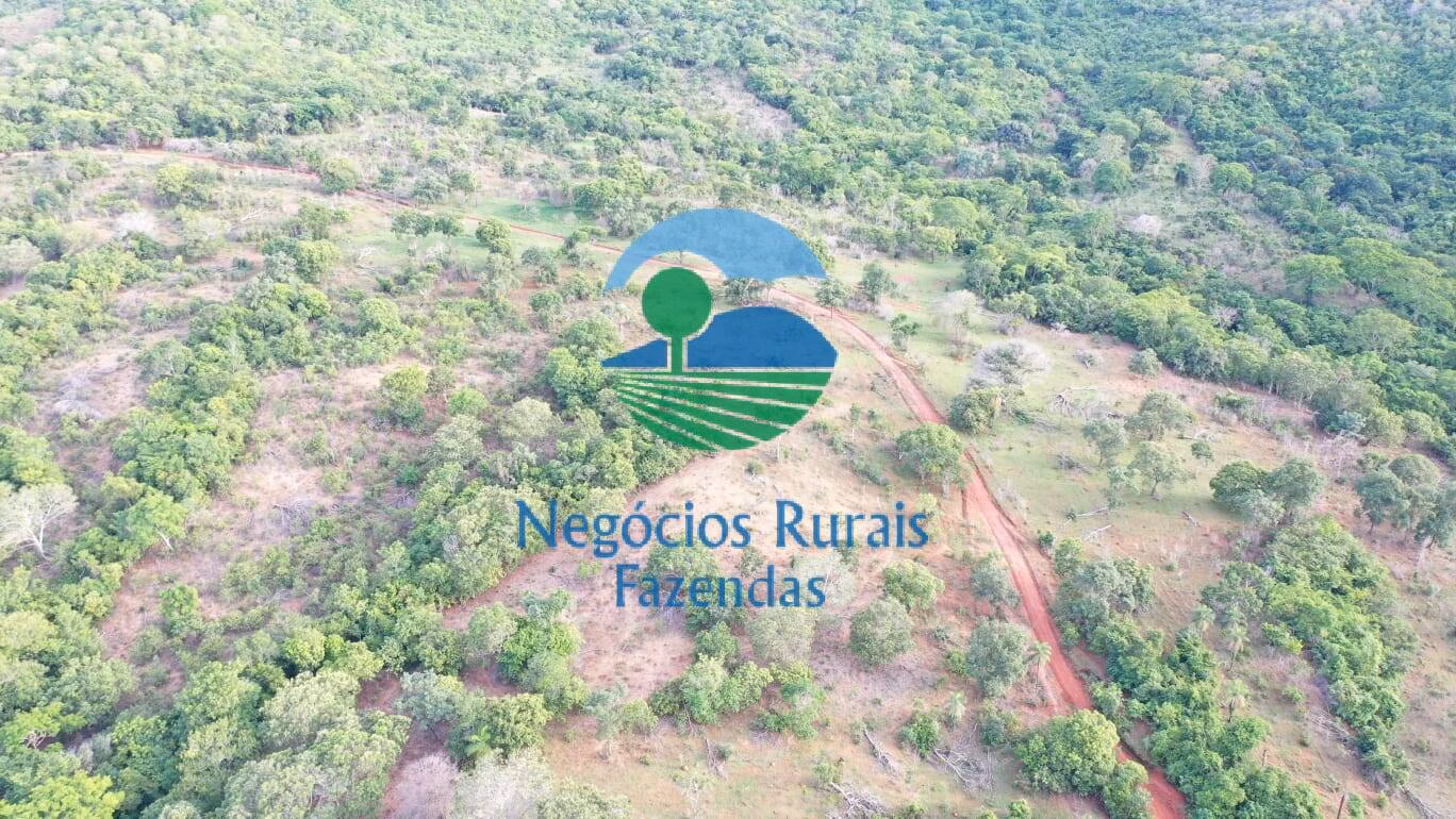 Fazenda de 145 ha em Formoso, GO