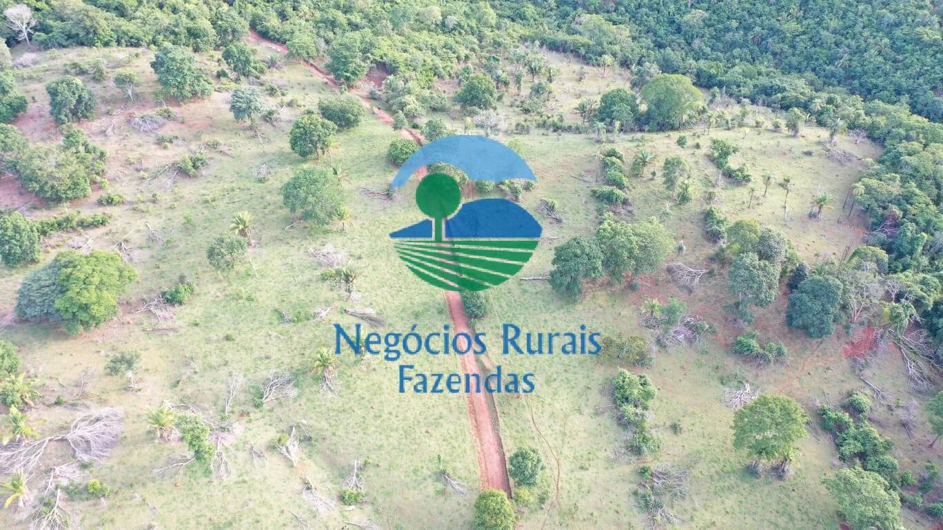 Fazenda de 145 ha em Formoso, GO