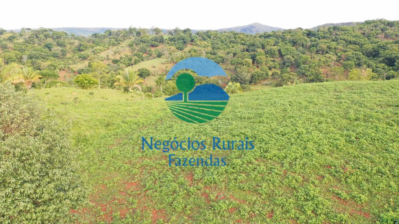 Fazenda de 145 ha em Formoso, GO