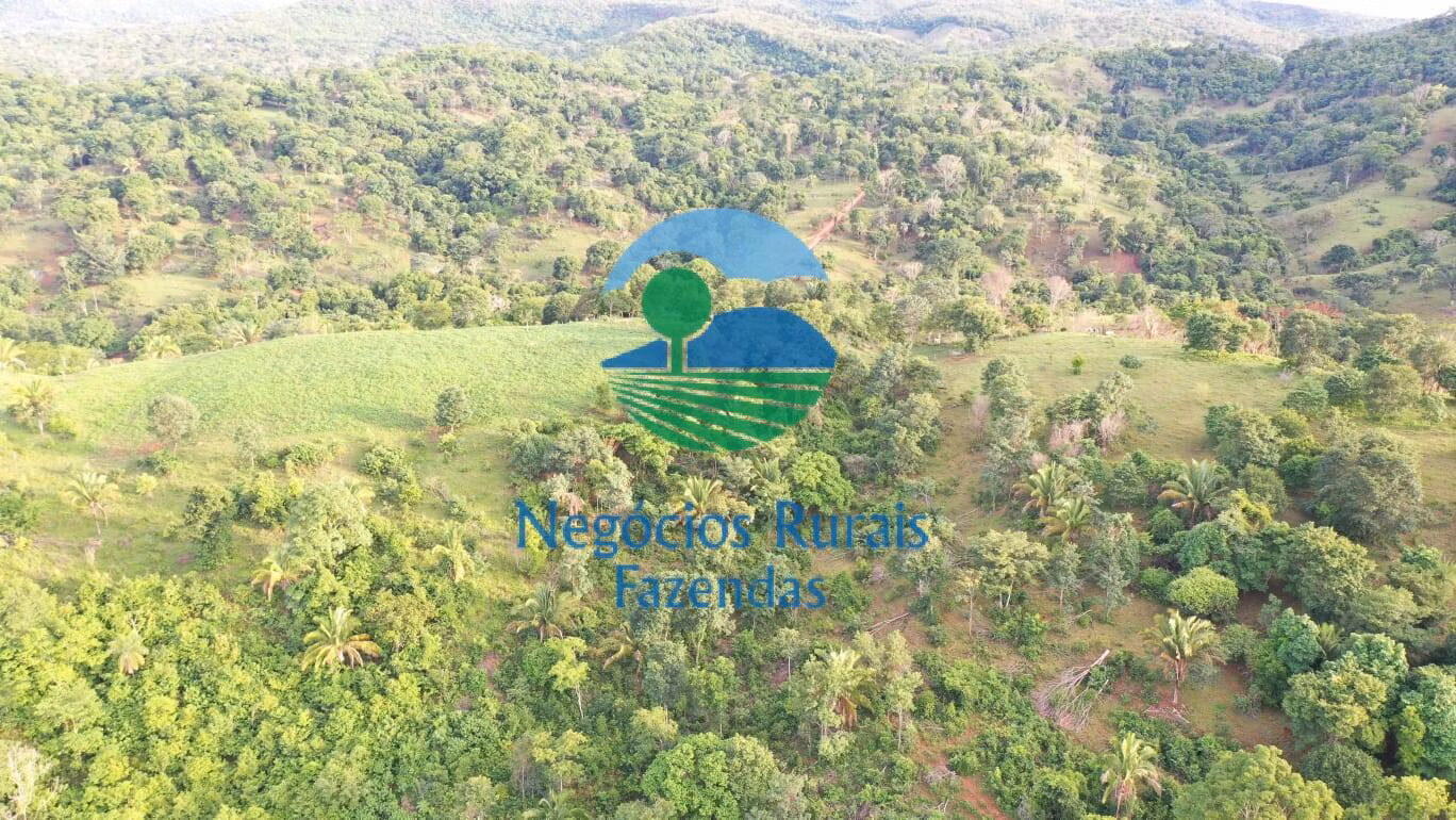 Fazenda de 145 ha em Formoso, GO
