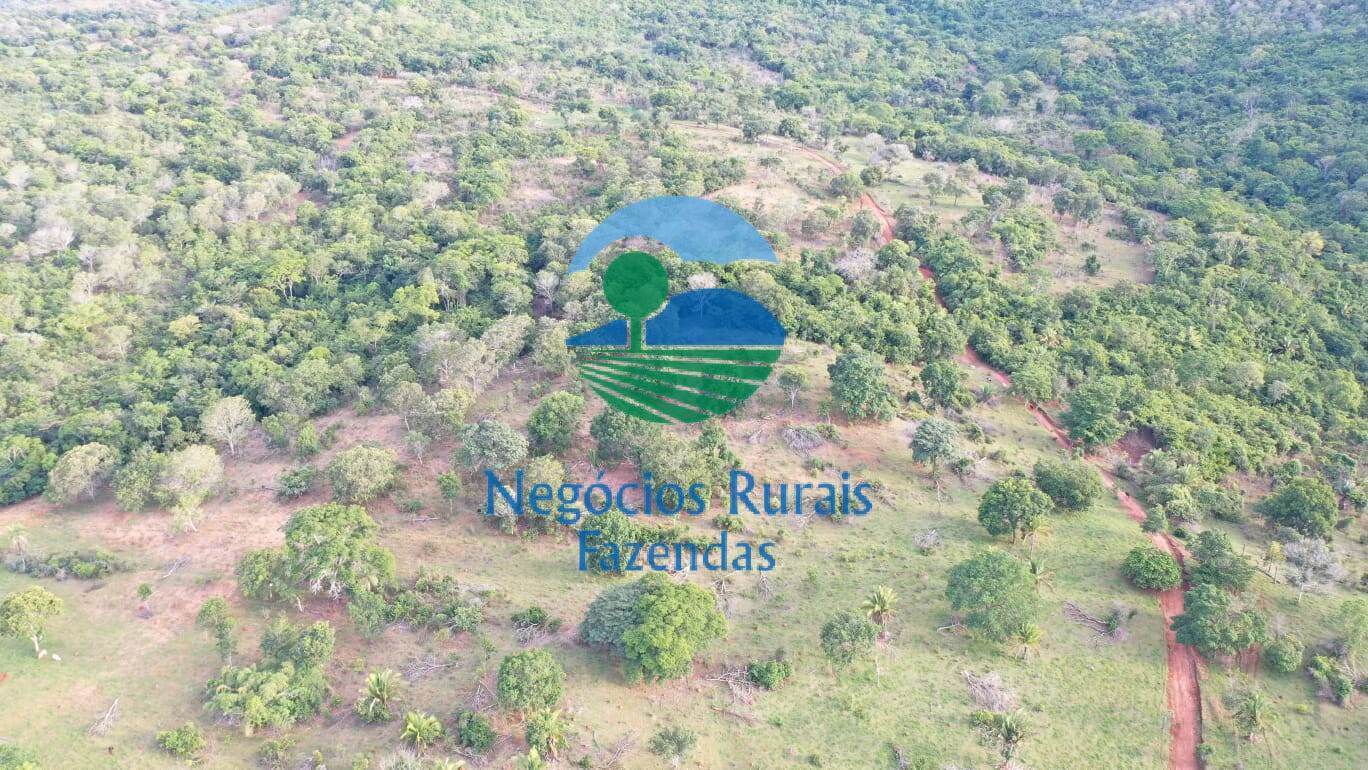 Fazenda de 145 ha em Formoso, GO